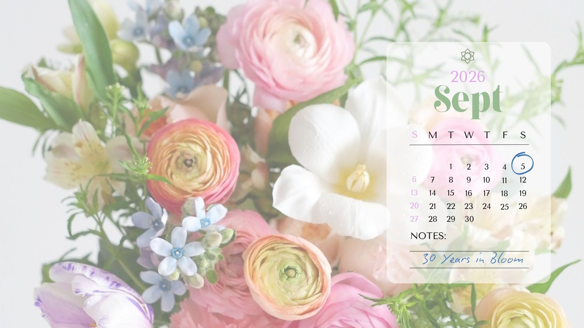 September 5th 2026 | 30 Years in Bloom| Brisbane Market Flowers