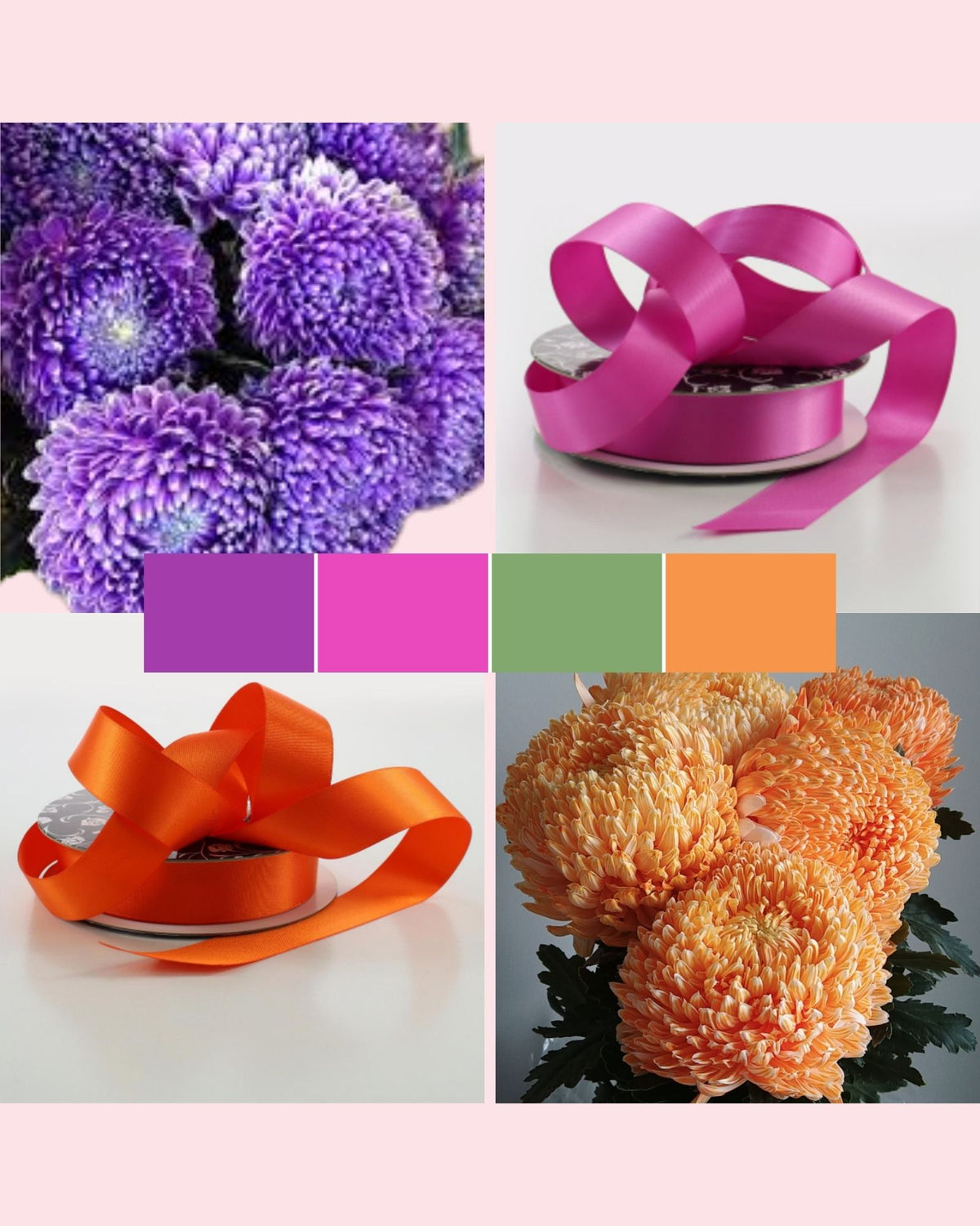 Collage showing bright purple, pink, orange chrysanthemums alongside matching ribbons.