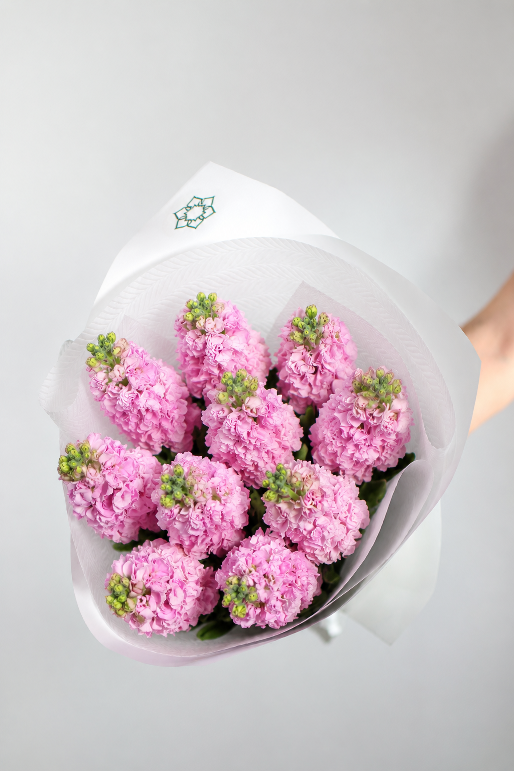 Deluxe stock wrap | Brisbane Market Flowers.