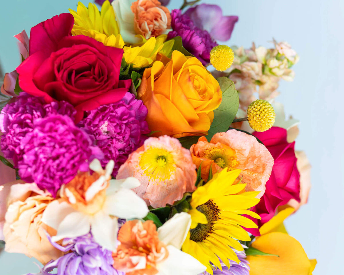 A vibrant bouquet of multicolored flowers |Brisbane Market Flowers.