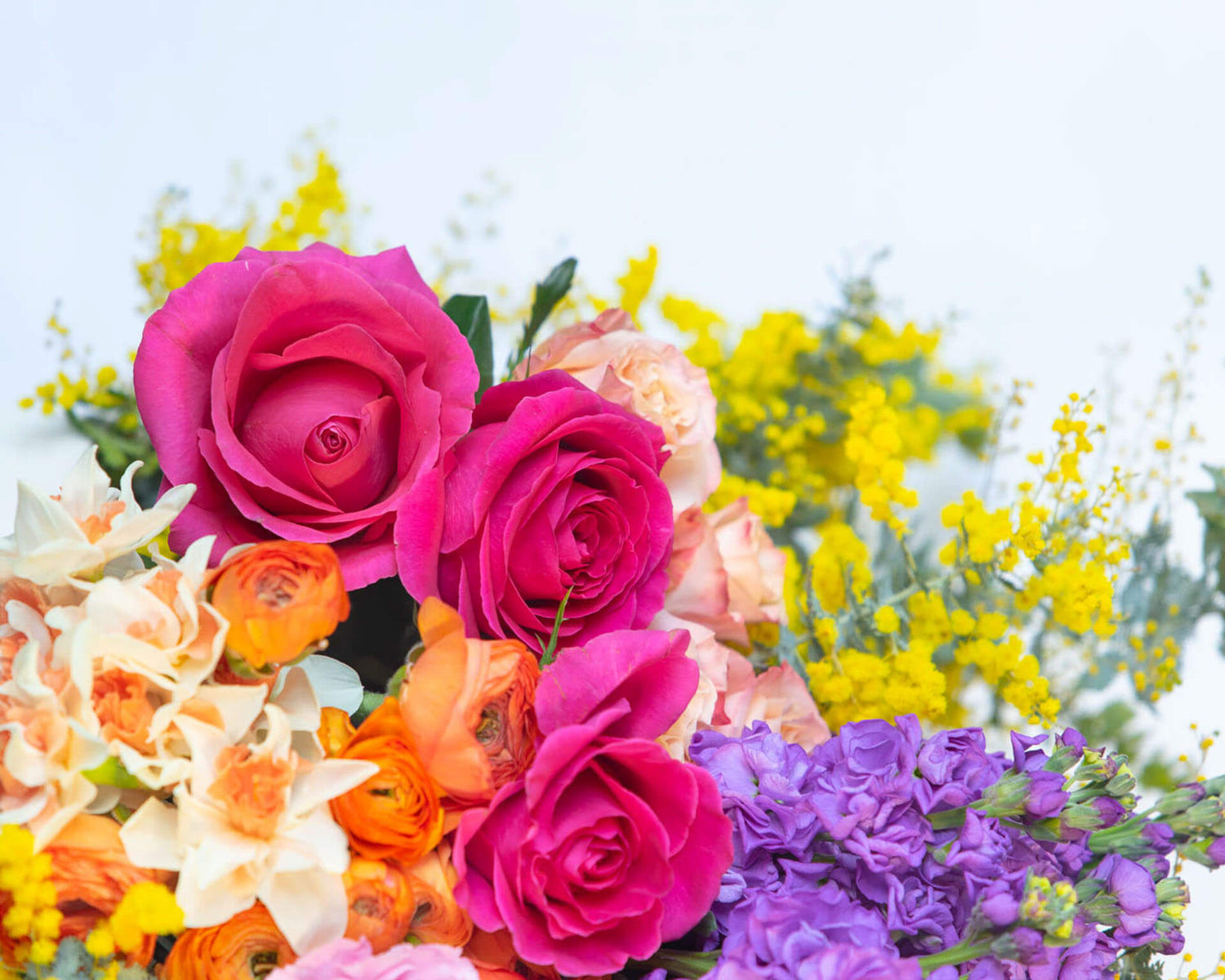 A vibrant floral bouquet featuring pink roses, purple flowers and yellow wattle.