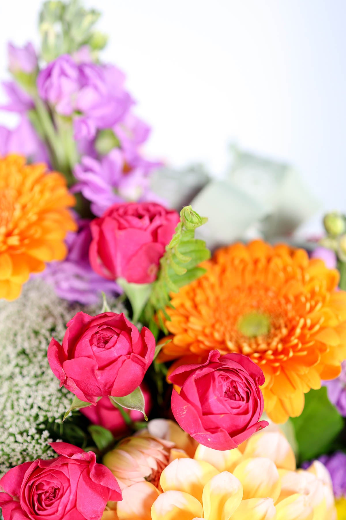 Bouquet of colourful and bright flowers including roses and chrysanthemums and gerbera with a blurred background