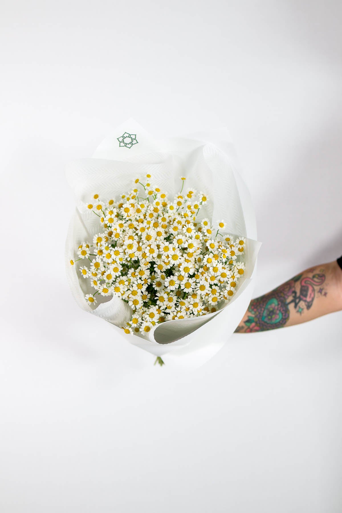 Bouquet of small white flowers held by a person with a tattoo on a light gray background