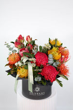 Keppel Native Flower Arrangement featuring Australian banksias, South African proteas, and leucadendrons in Brisbane Market Flowers’ signature hat box