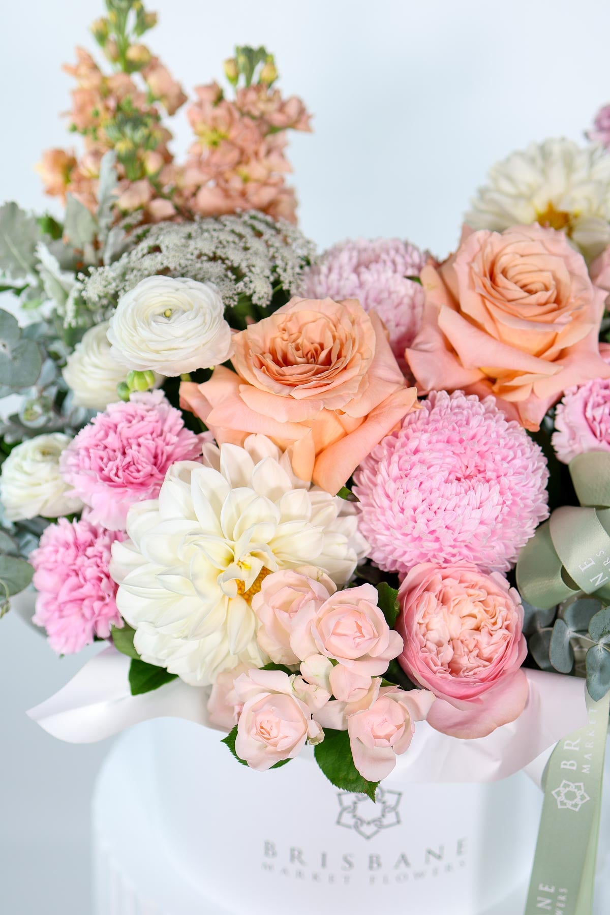 Close-up of Milan hatbox bouquet showing pale pink disbuds, white dahlias, and peach spray roses arranged in gentle dome shape