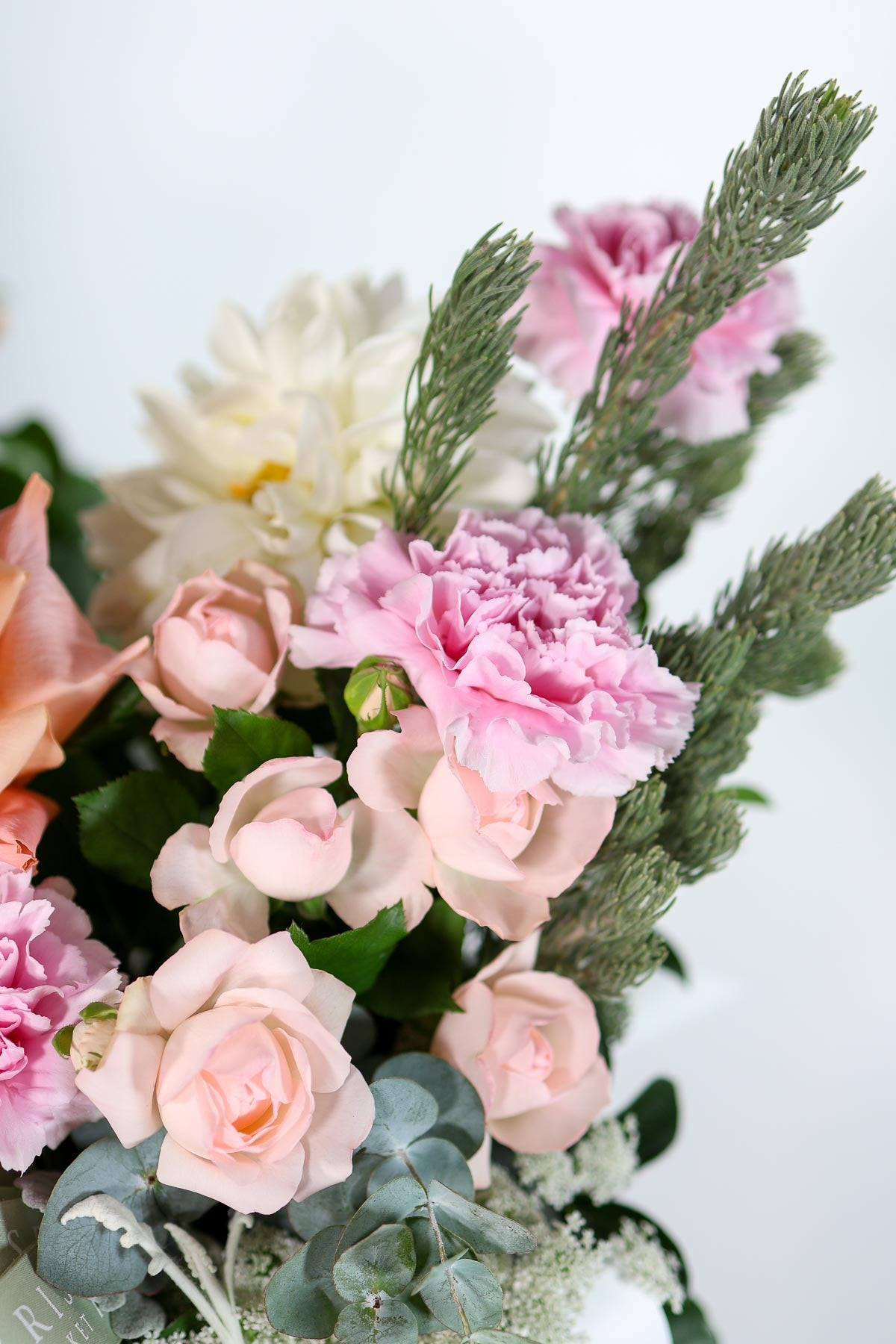 Soft pink and white flowers with greenery on a light background