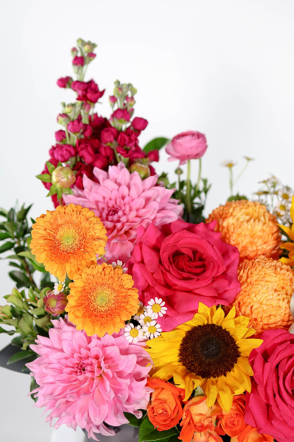 Close up of flowers including roses, sunflowers, and tiny daisies on a white background.