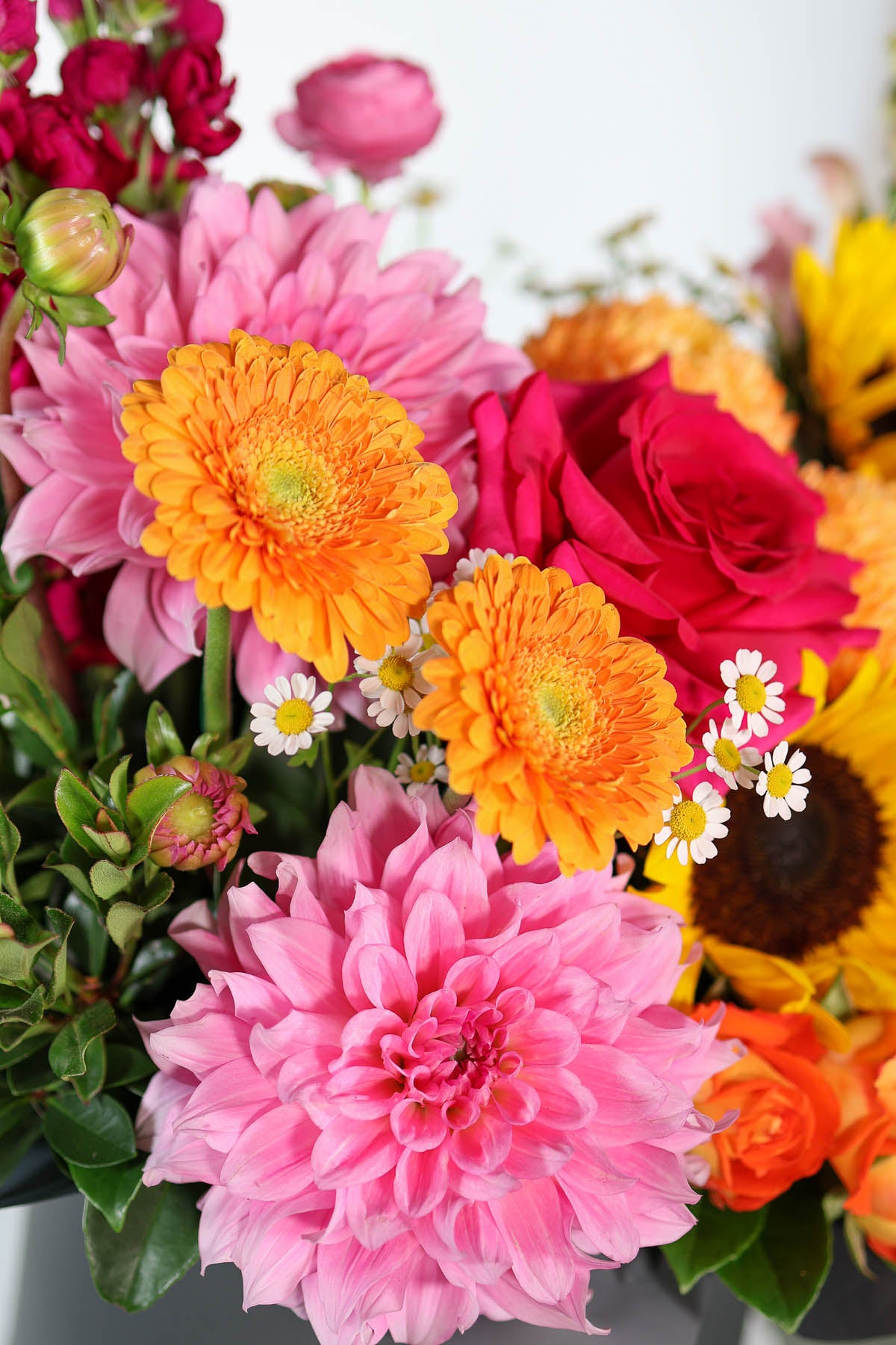 Coloruful flowers including pink, orange, and yellow with tiny daisies called chamomile.