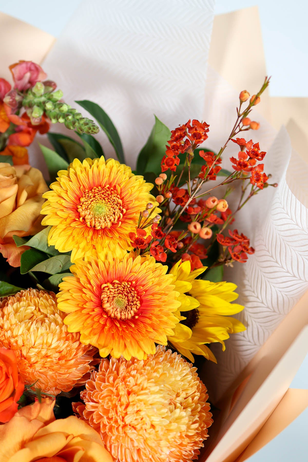 vibrant orange and honey-gold seasonal gerbera and geraldton wax in a close up of the bouquet