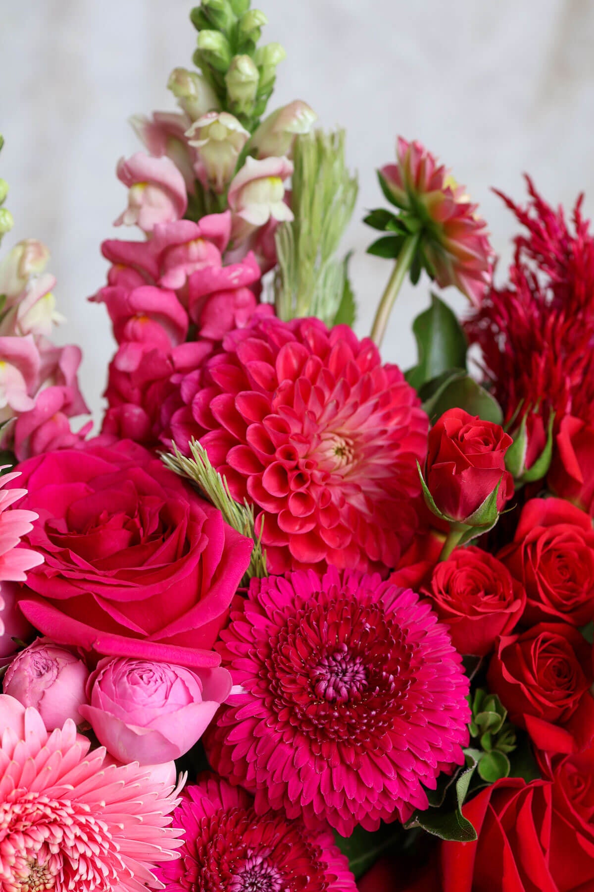Brisbane Market Flowers Valentine's range of pink and red flowers.