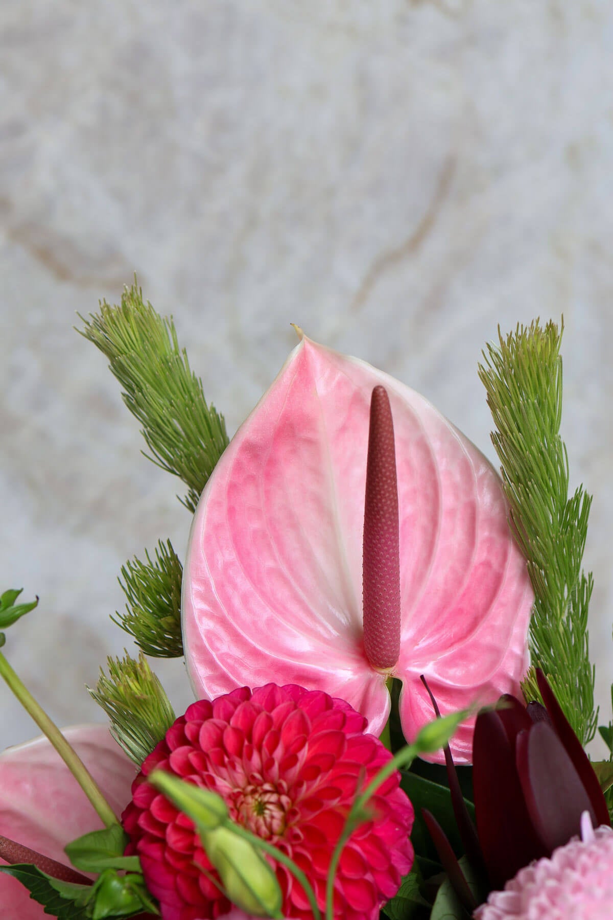 Close-up of a Valentine's Hatbox with pink Anthurium and red Dahlia flowers.