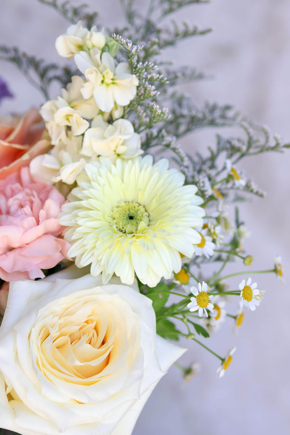 Close up pastel flowers with roses gerbera daisy and soft ombre tones.