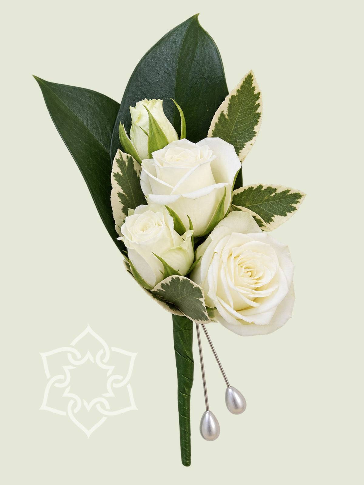 Ivory rose buttonhole with white roses and green foliage by Brisbane Market Flowers.