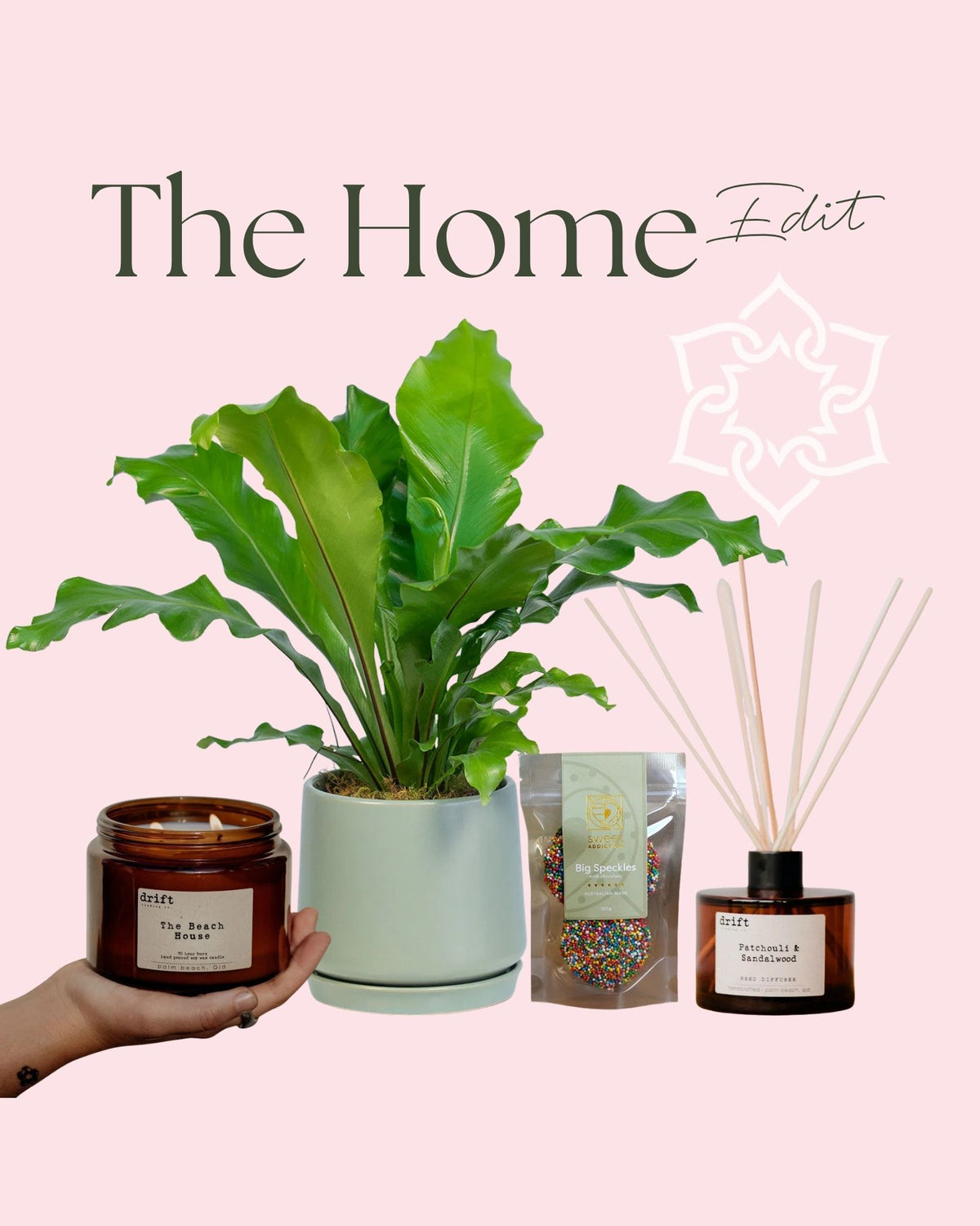 The Home Edit with indoor plant, ceramic pot, candle, chocolates and diffuser.