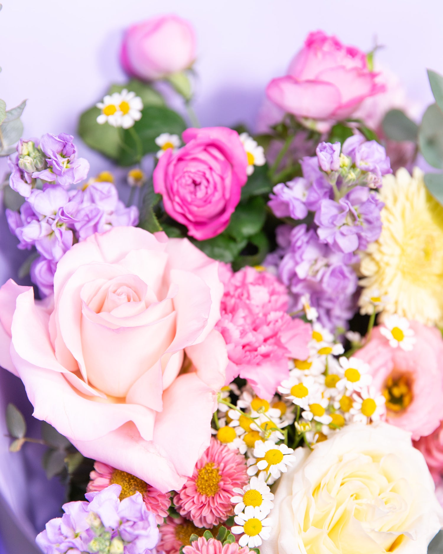 Pink roses and stock flowers for same day delivery Brisbane.