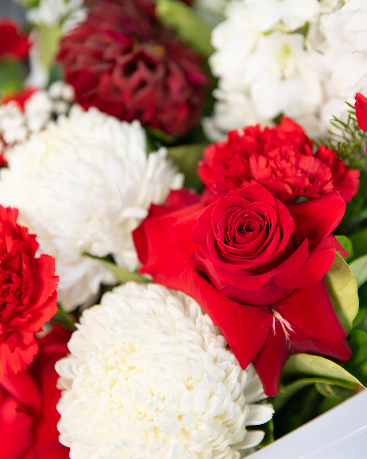 Christmas floral arrangement with roses, berries, and pine cones styled for luxury Brisbane delivery