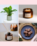 Premium housewarming gift with indoor plant and Australian home fragrance.