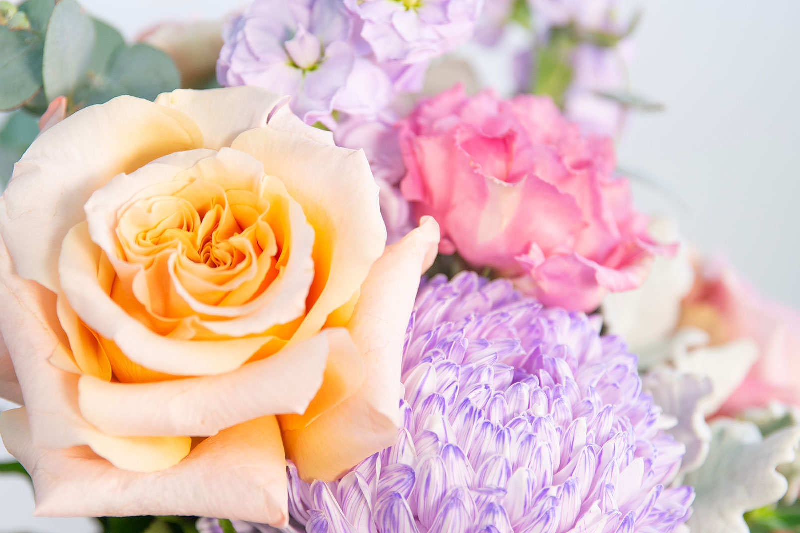 Brisbane Market Flowers SameDay Flower Delivery in Brisbane