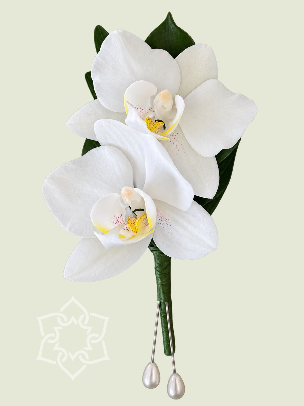 White orchid buttonhole with green foliage and pearl pins by Brisbane Market Flowers.