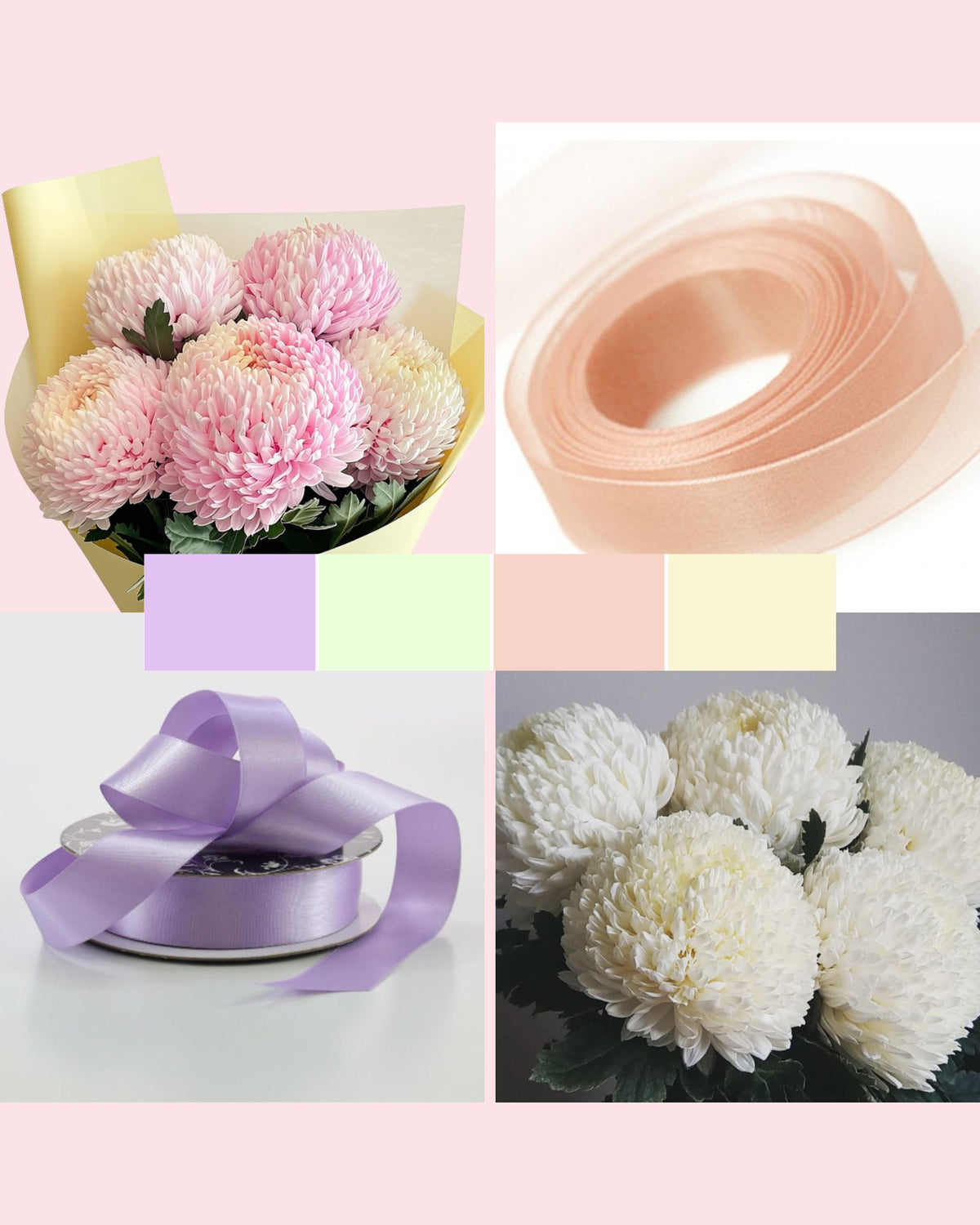 Collage showing pastel pink and white chrysanthemums alongside matching ribbons.