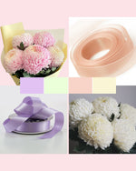 Collage showing pastel pink and white chrysanthemums alongside matching ribbons.