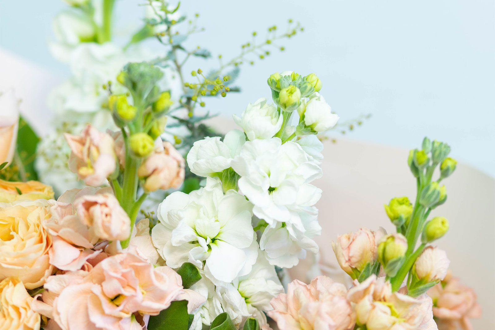 Brisbane Market Flowers SameDay Flower Delivery in Brisbane