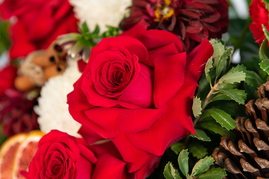 Brisbane Market Flowers SameDay Flower Delivery in Brisbane