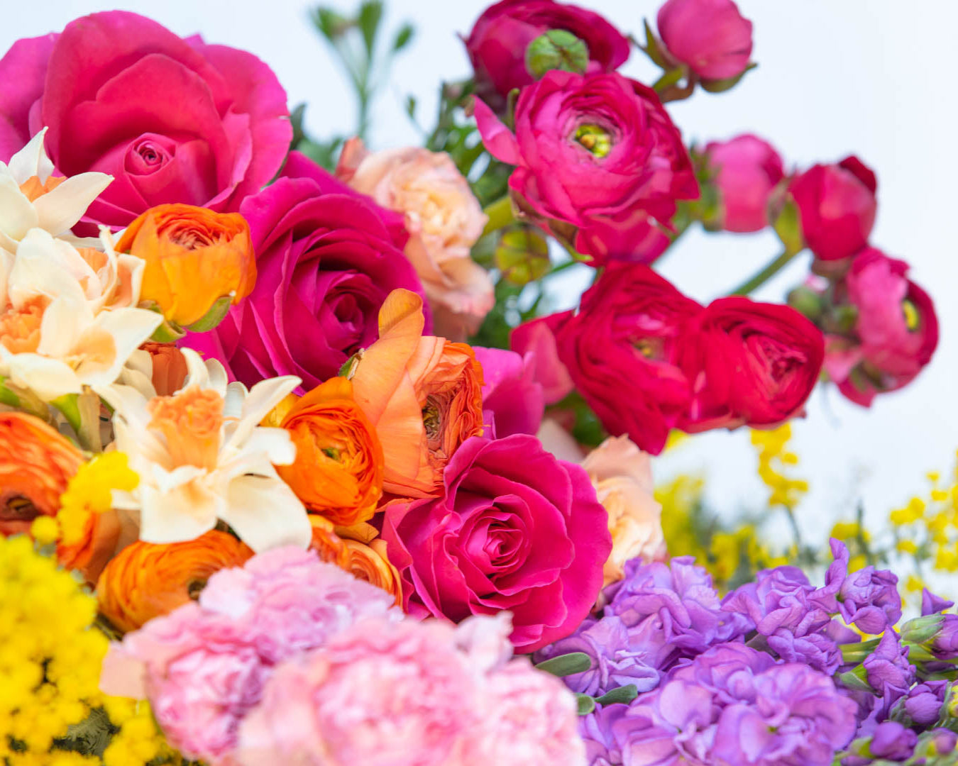 Bright colourful flowers including ranunculas and roses in bright pink.