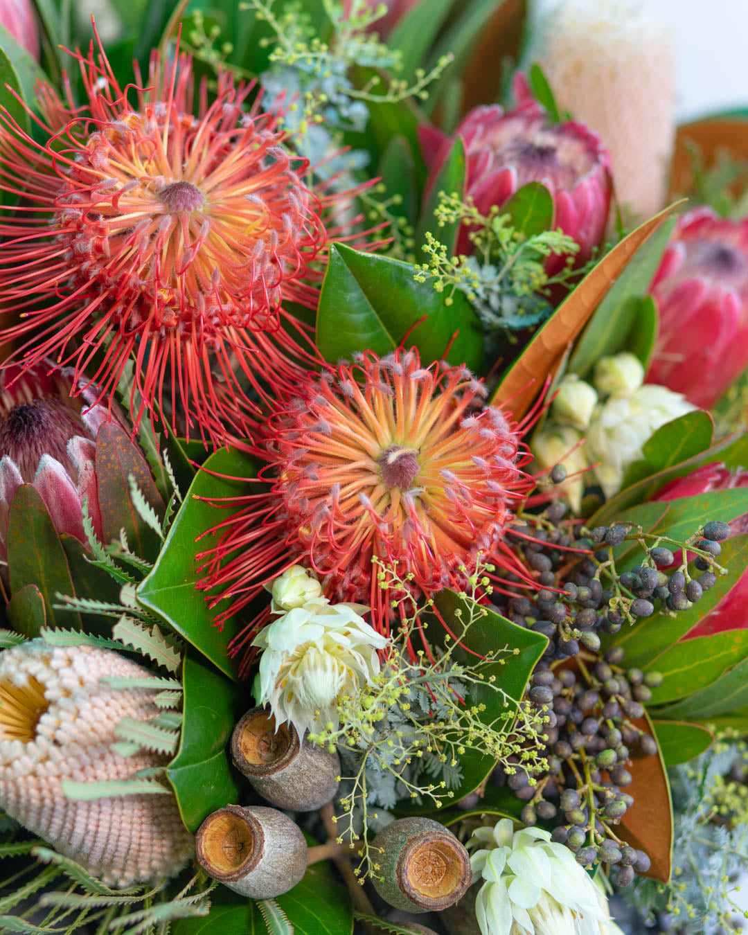 Native flowersand gumnuts | Brisbane Market Flowers.