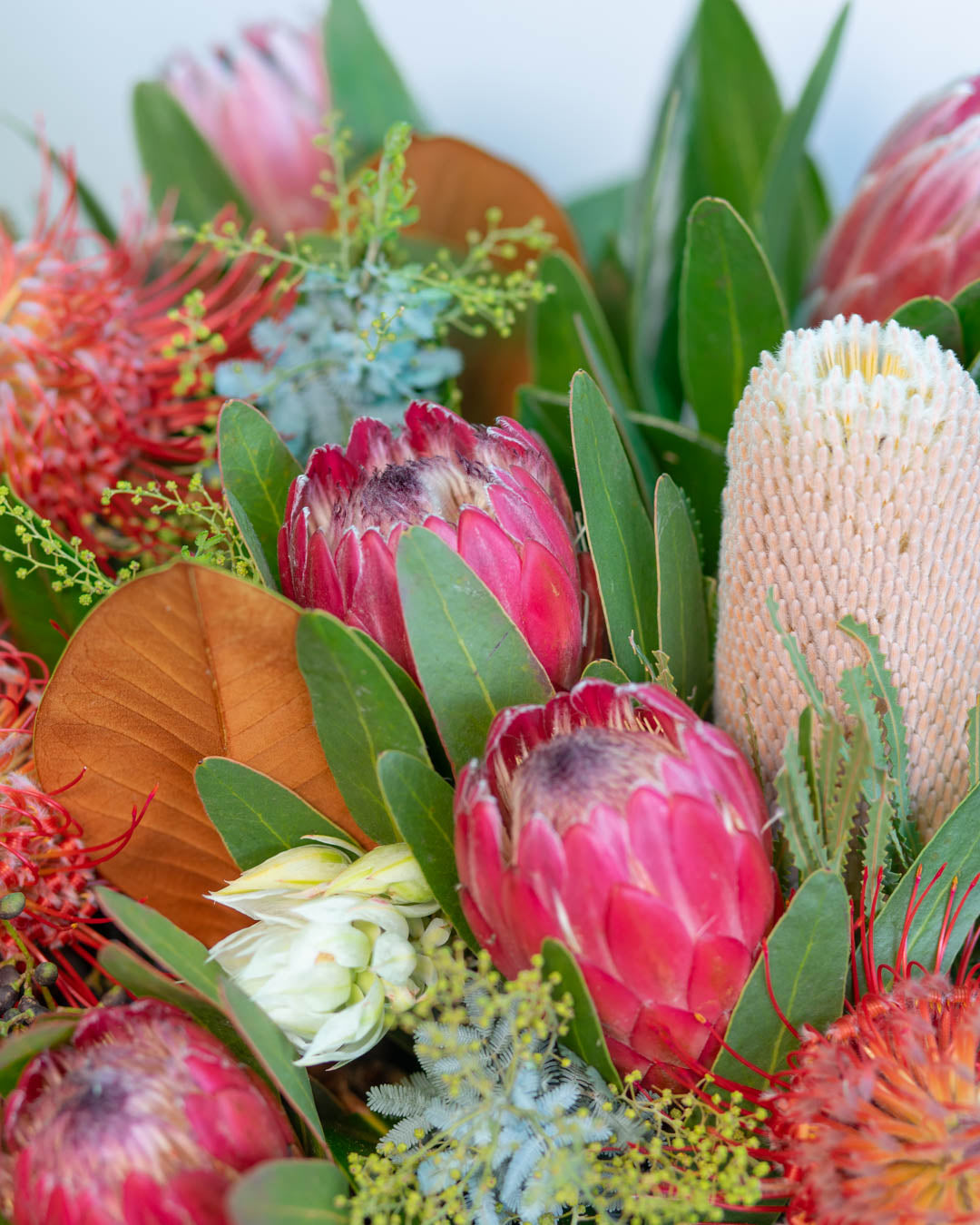Keppel Native Hatbox |Brisbane Market Flowers.