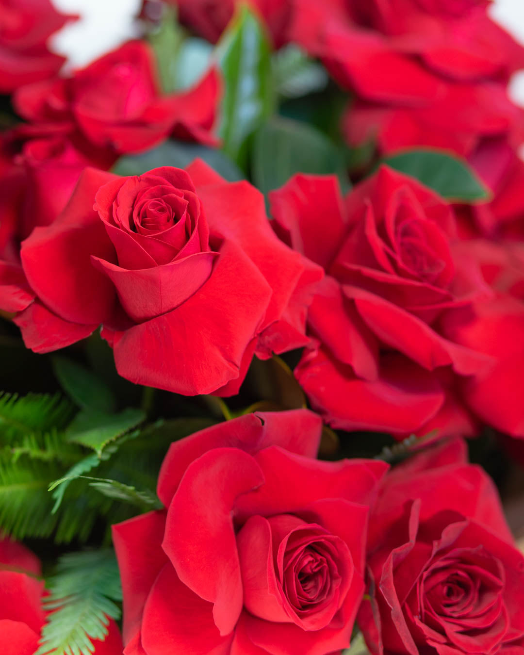 Luxury roses Brisbane – red roses bouquet wrapped.