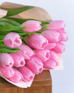 Close up of soft purple tulips in a bunch gift wrapped.