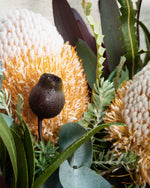 Gum nut and banksia 