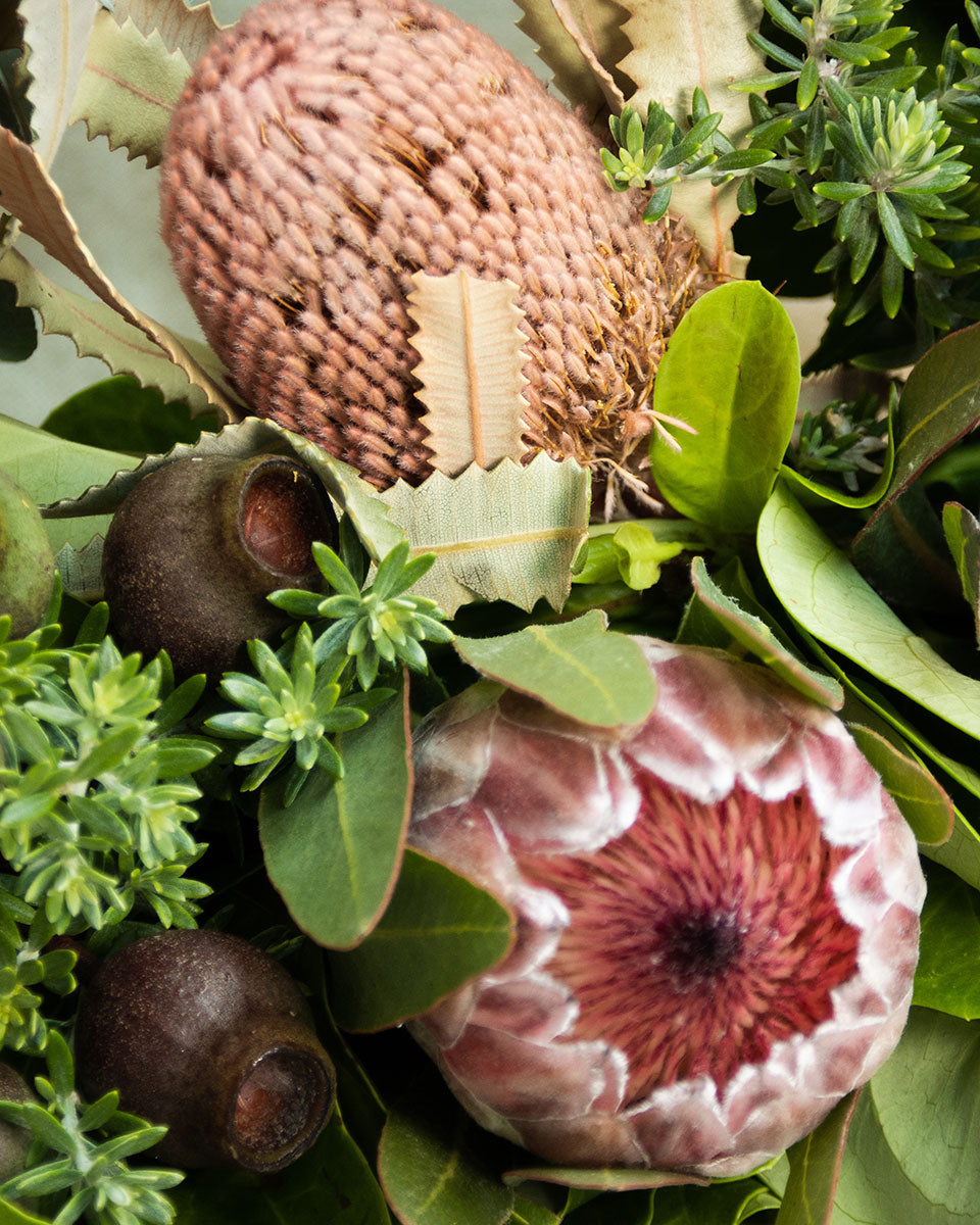 Protea and gumnutes with green foliage.