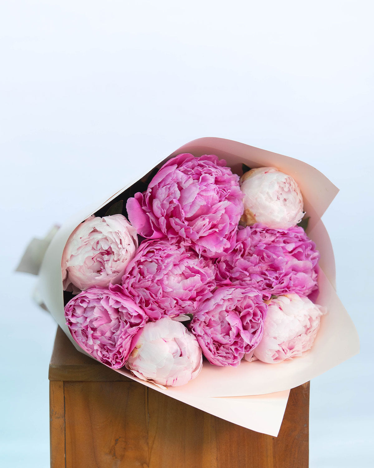 Brisbane Market Flowers SameDay Flower Delivery in Brisbane